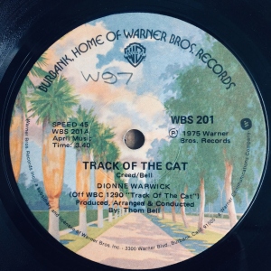 Track Of The Cat Image