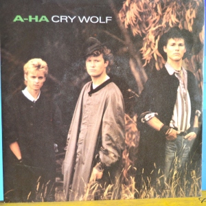 Cry Wolf Image