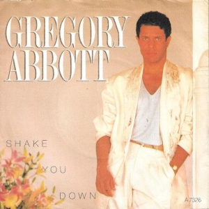 Shake You Down Image