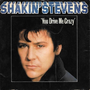 You Drive Me Crazy Image