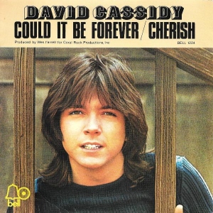 Could It Be Forever / Cherish Image