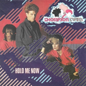 Hold Me Now Image
