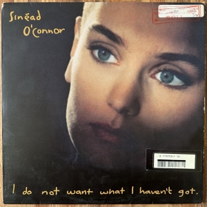 I Do Not Want What I Haven't Got Image