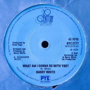 What Am I Gonna Do With You? Image