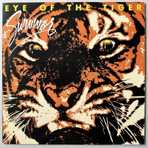 Eye Of The Tiger Image