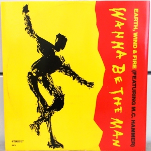 Wanna Be The Man Image
