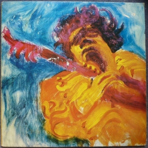 The Jimi Hendrix Concerts Image