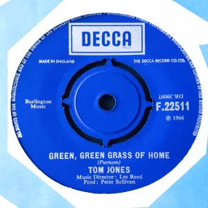 Green, Green Grass Of Home Image