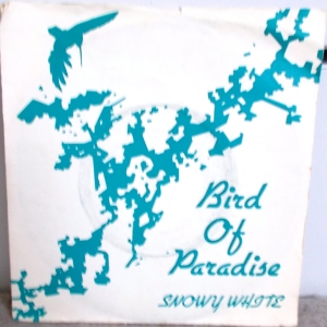 Bird Of Paradise Image