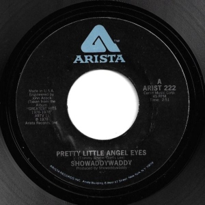 Pretty Little Angel Eyes Image