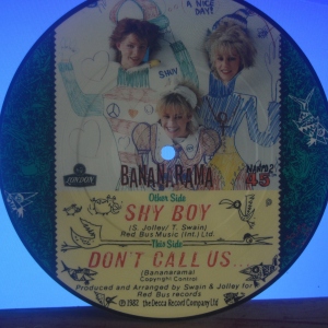 Shy Boy Image