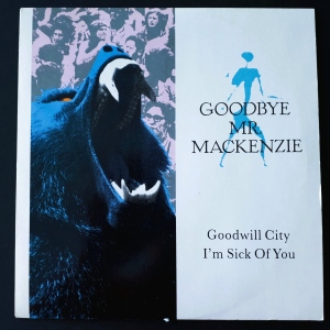 Goodwill City / I'm Sick Of You Image