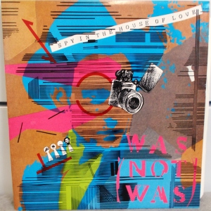 Spy In The House Of Love Image