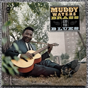 Muddy, Brass And The Blues Image