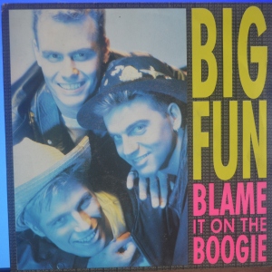 Blame It On The Boogie Image