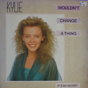 Wouldn't Change A Thing Image