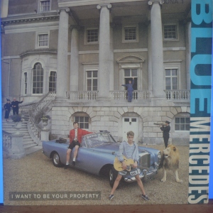 I Want To Be Your Property Image