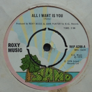 All I Want Is You Image