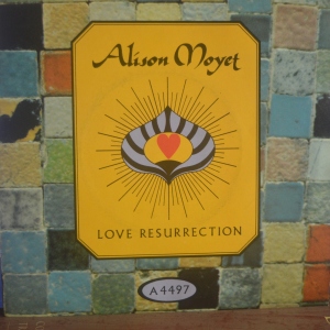Love Resurrection Image