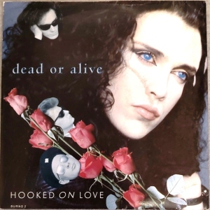 Hooked On Love Image