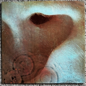 Meddle Image