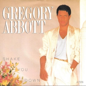 Shake You Down Image