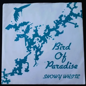 Bird Of Paradise Image