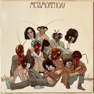 Metamorphosis Image