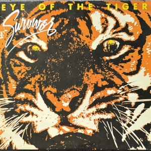 Eye Of The Tiger Image