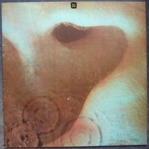 Meddle Image