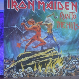 Run To The Hills Image