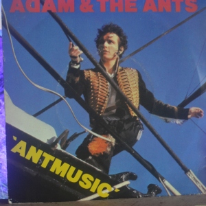 Antmusic Image
