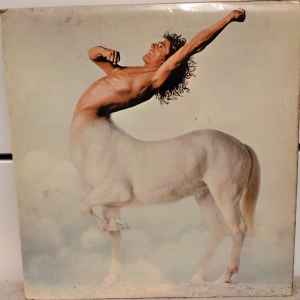 Ride A Rock Horse Image