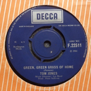 Green, Green Grass Of Home Image