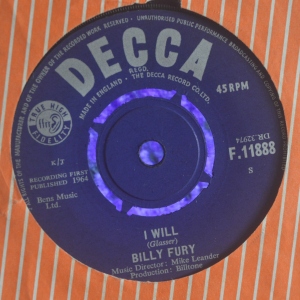 I Will / Nothin' Shakin' (But The Leaves On The Trees) Image