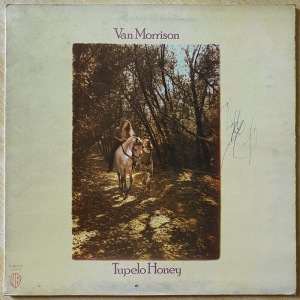 Tupelo Honey Image