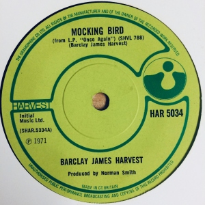 Mocking Bird Image