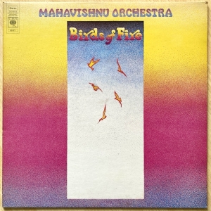 Birds Of Fire Image