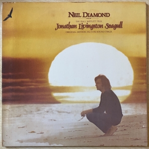 Jonathan Livingston Seagull Image