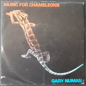 Music For Chameleons Image