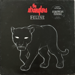 Feline Image