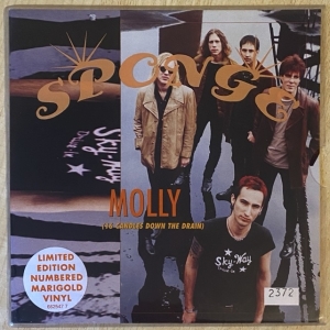 Molly (16 Candles Down The Drain) Image