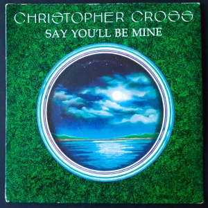 Say You'll Be Mine Image