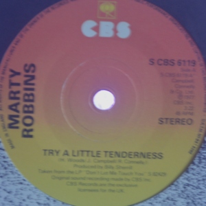 Try A Little Tenderness Image