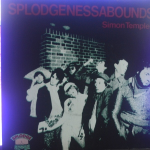Simon Templer Image