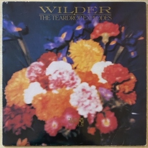 Wilder Image