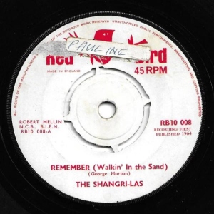 Remember (Walkin' In The Sand) Image