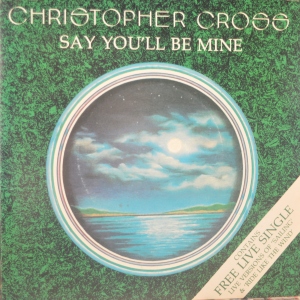 Say You'll Be Mine Image