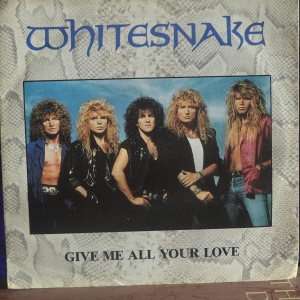 Give Me All Your Love Image