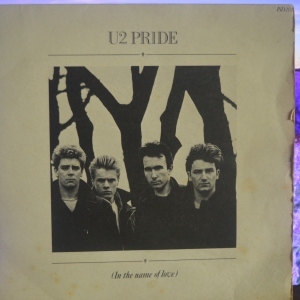 Pride (In The Name Of Love) Image